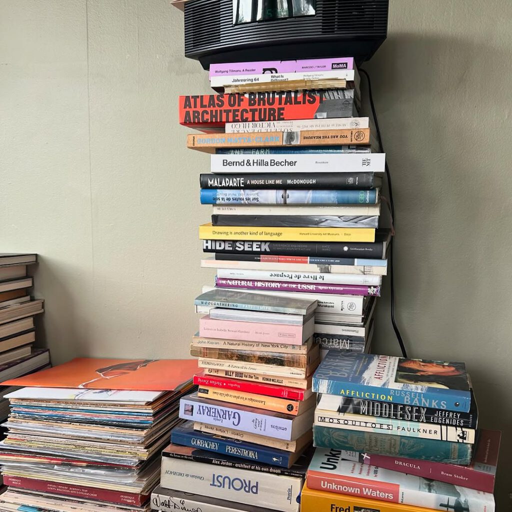 Déménagement, les livres s’entassent…

le da… - Antoine Vigne