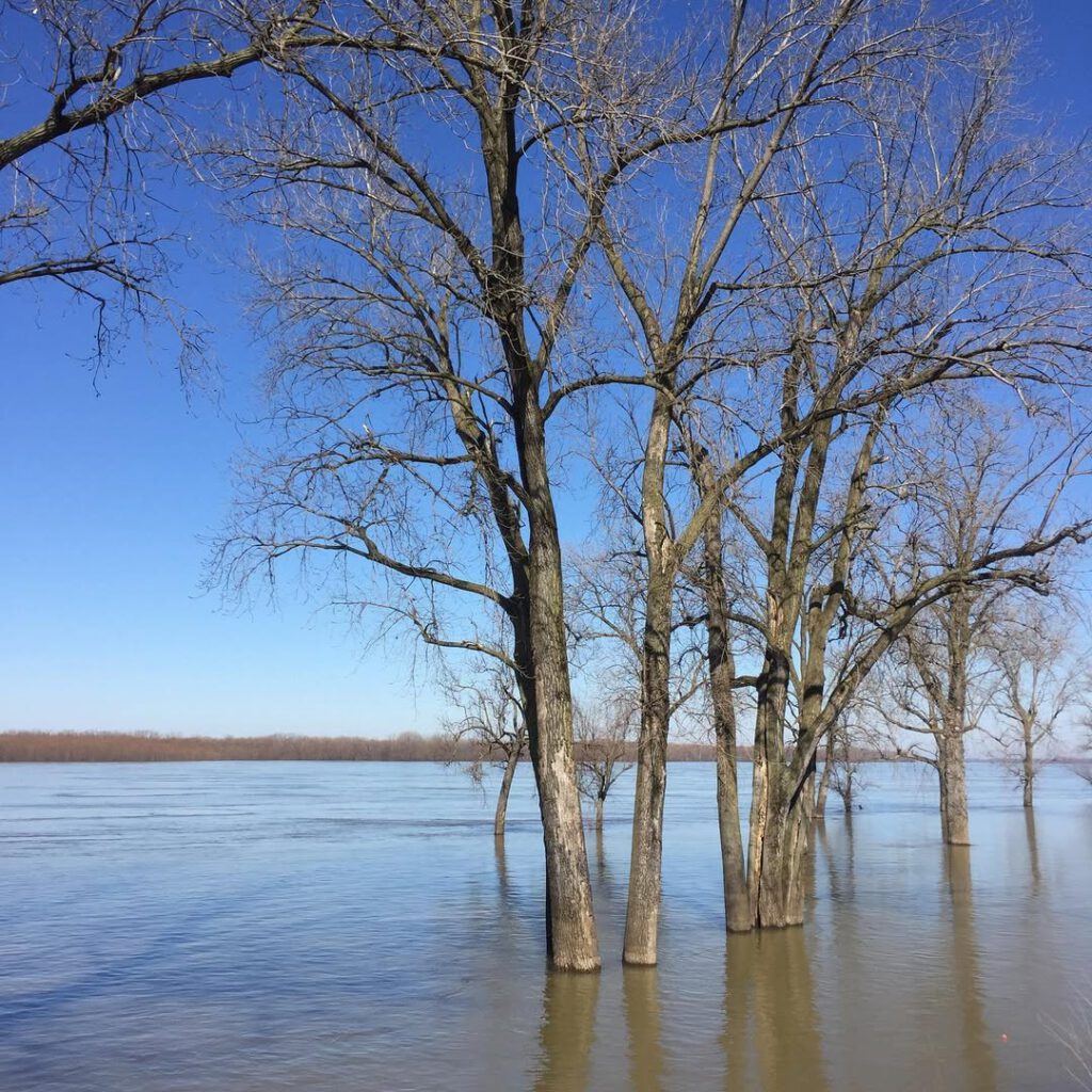#memphis #tennessee #mississippi #imagesdamerique … - Antoine Vigne