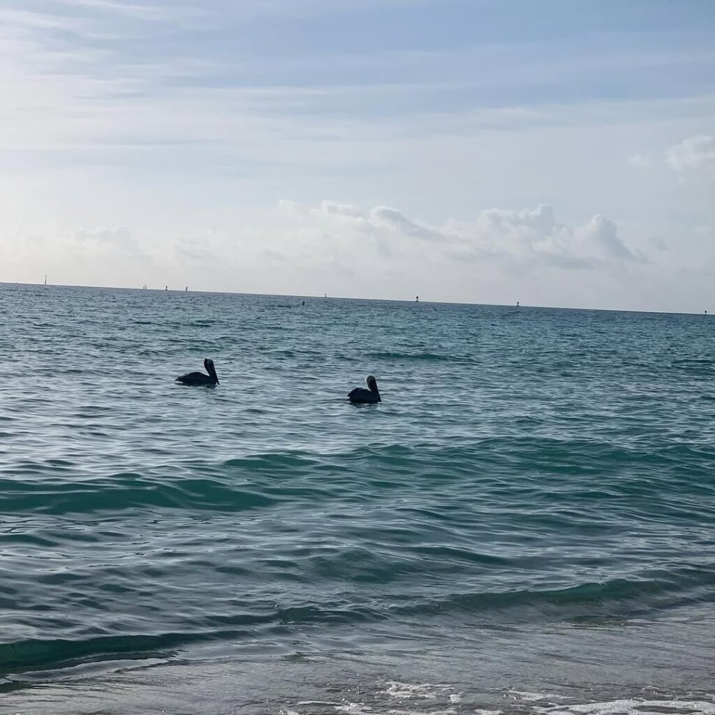 lagune, des tons opales 	dégoulinant 
de la pisci… - Antoine Vigne