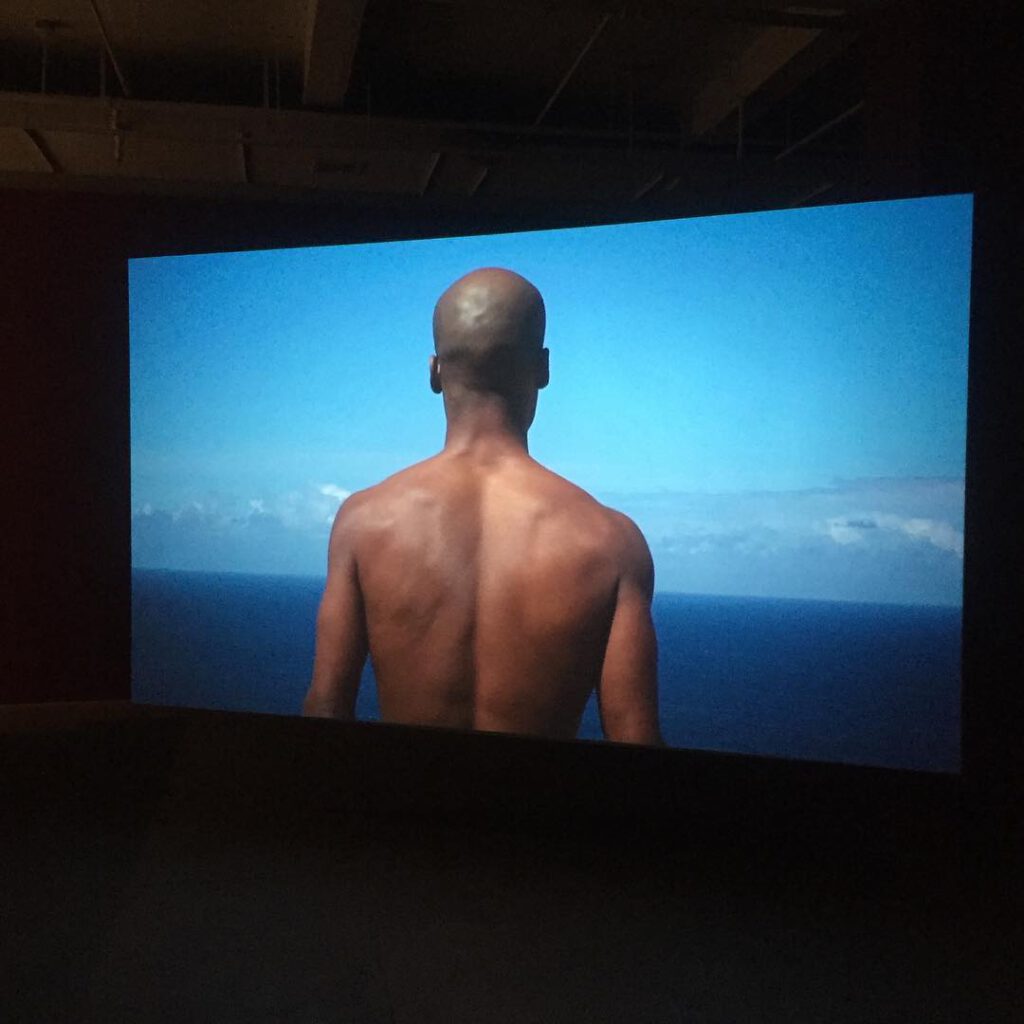 Beautiful exhibition by our friend Carlos Motta at… - Antoine Vigne