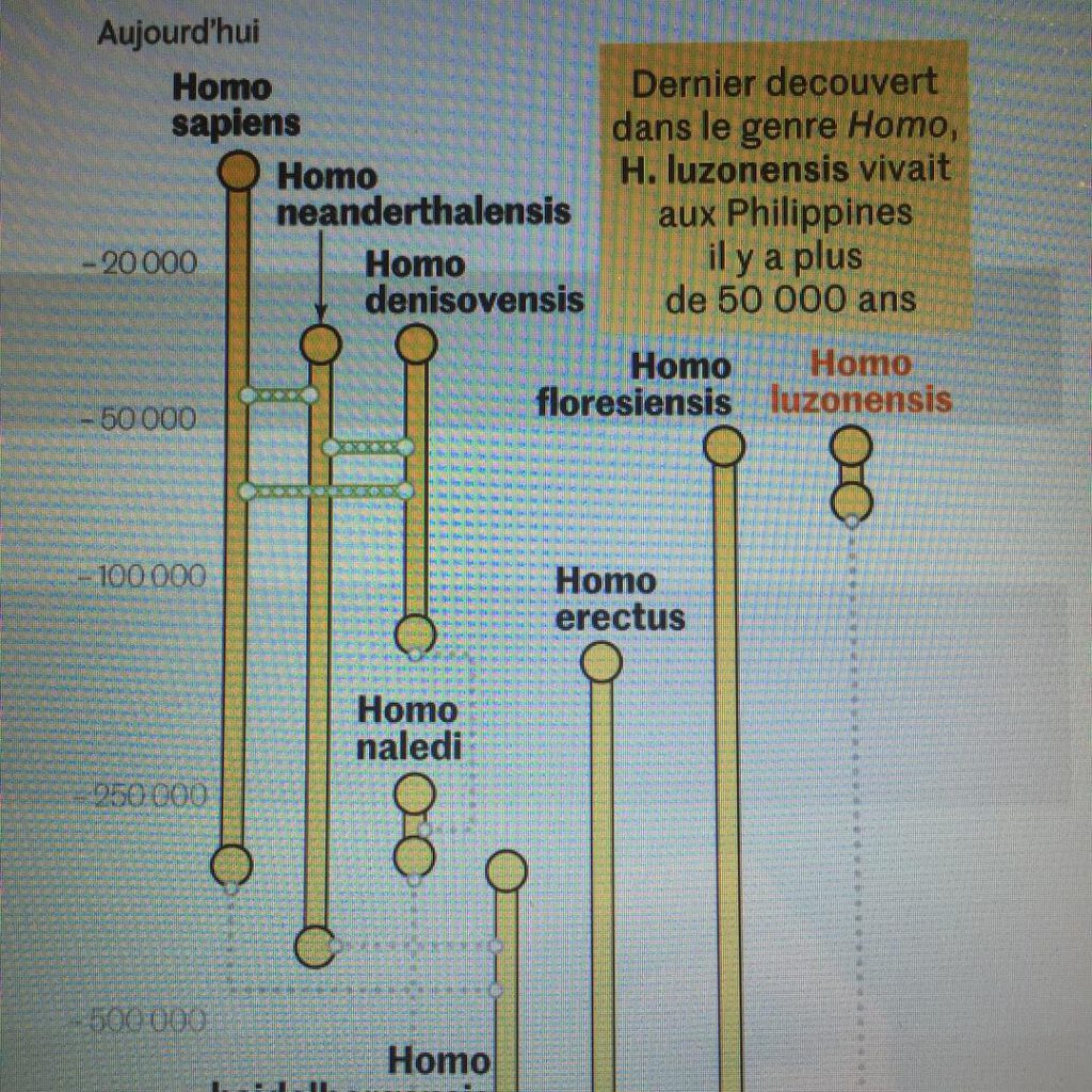 « Quand plusieurs humanités peuplaient la terre…. - Antoine Vigne