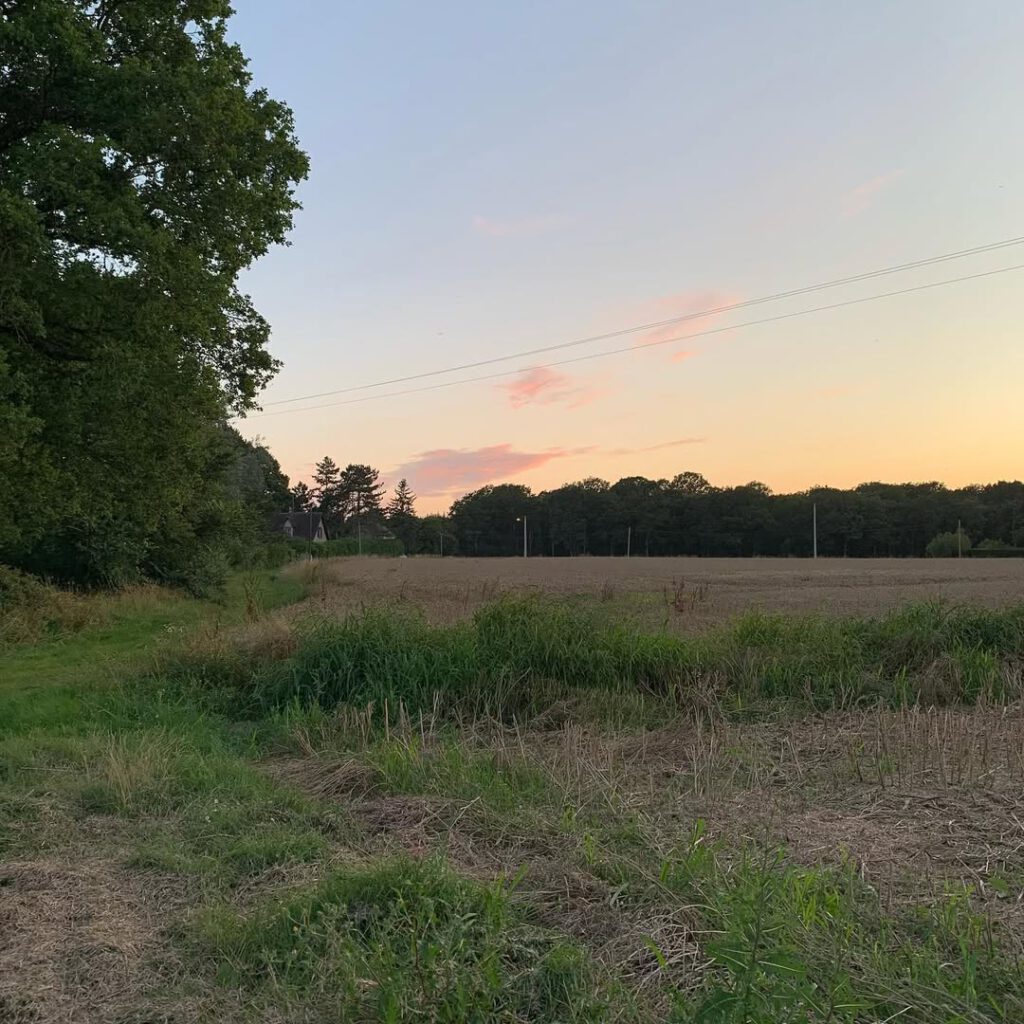 Promenade du soir, les conversations sur le credo,… - Antoine Vigne