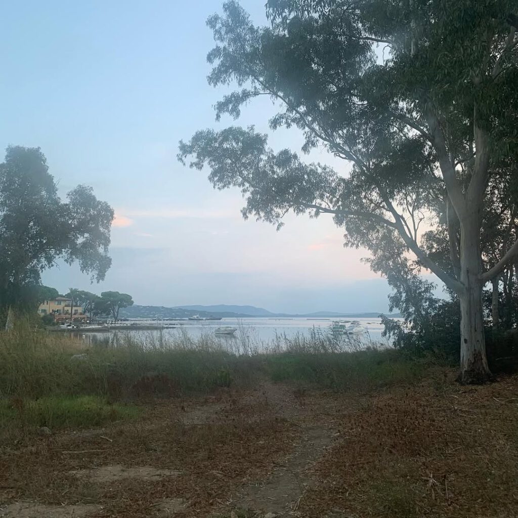 #portovecchio #7h12lematin #soleilcorse #lejourdap… - Antoine Vigne