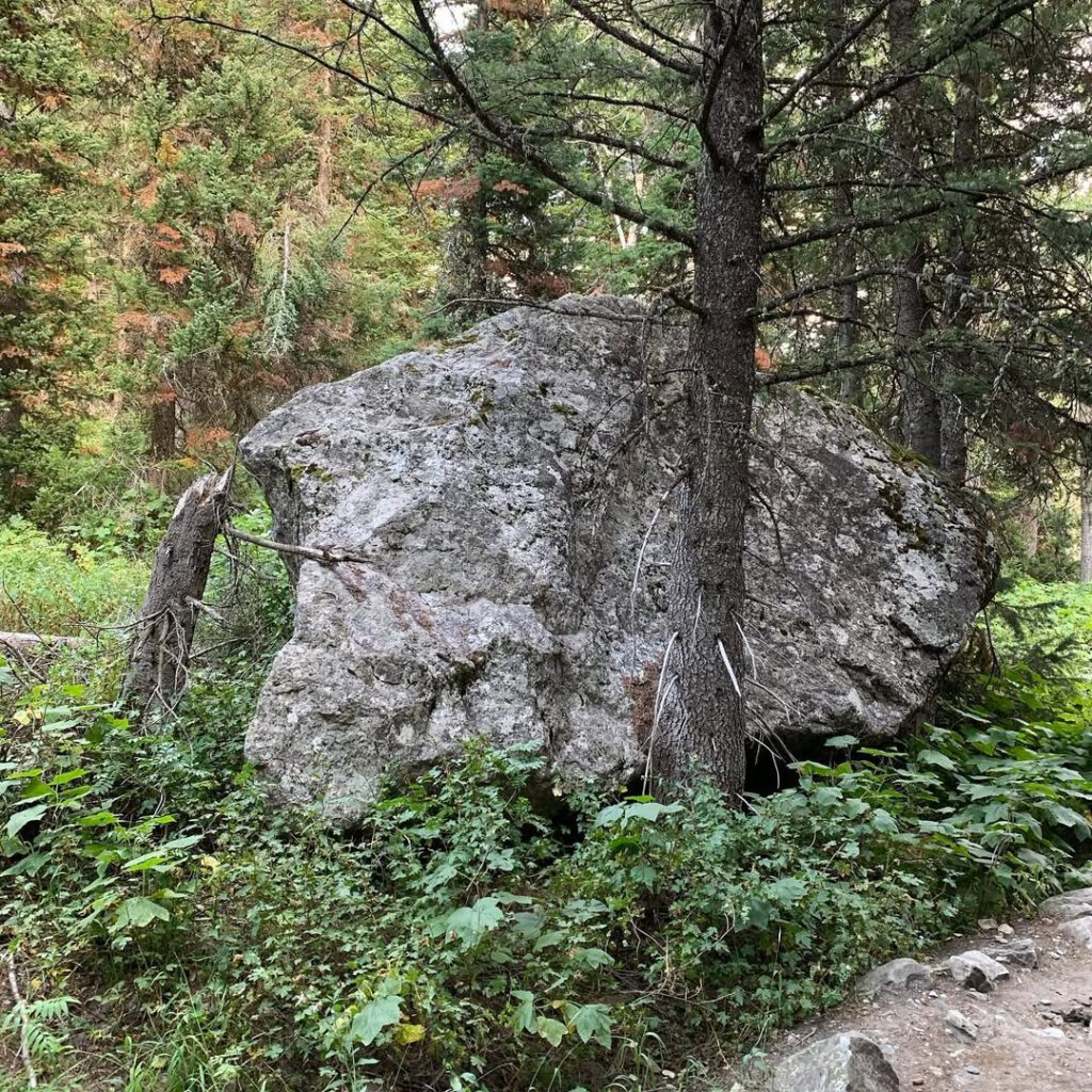 Les roches glaciaires, abandonnées par les morain… - Antoine Vigne