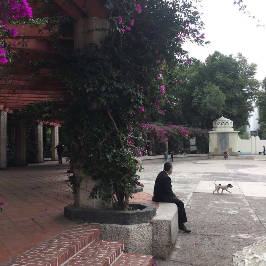 Mexico City, une ville qui vous accueille avec des… - Antoine Vigne