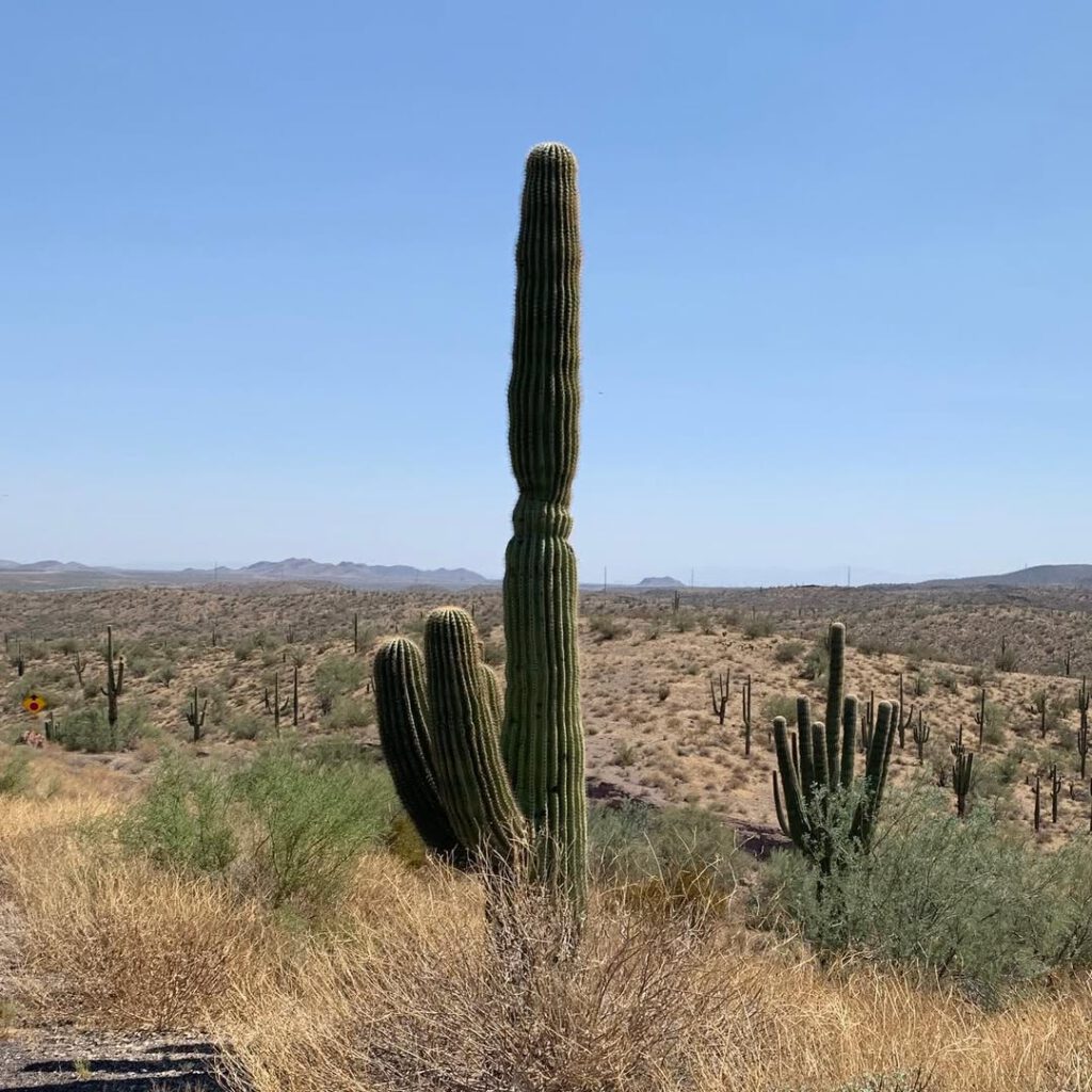 Sur la route près d’Arcosanti, avant d’arrive… - Antoine Vigne