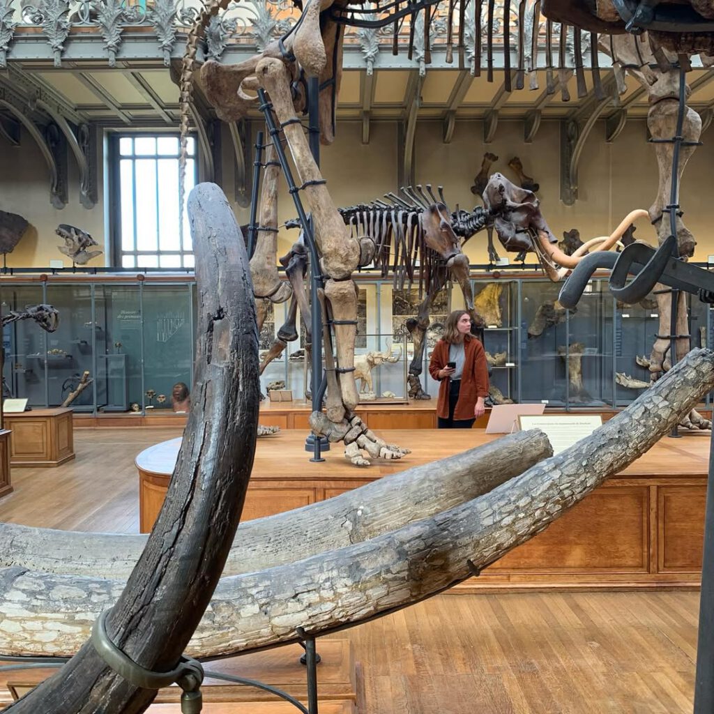 Certaines choses, certains musées, certaines vitr… - Antoine Vigne