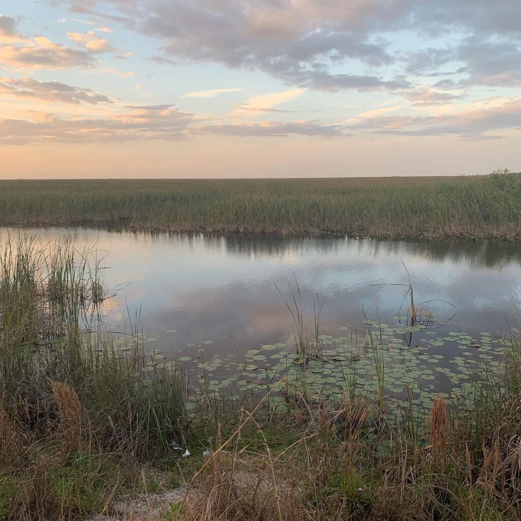 Une promenade dans les Everglades, la digue sur la… - Antoine Vigne