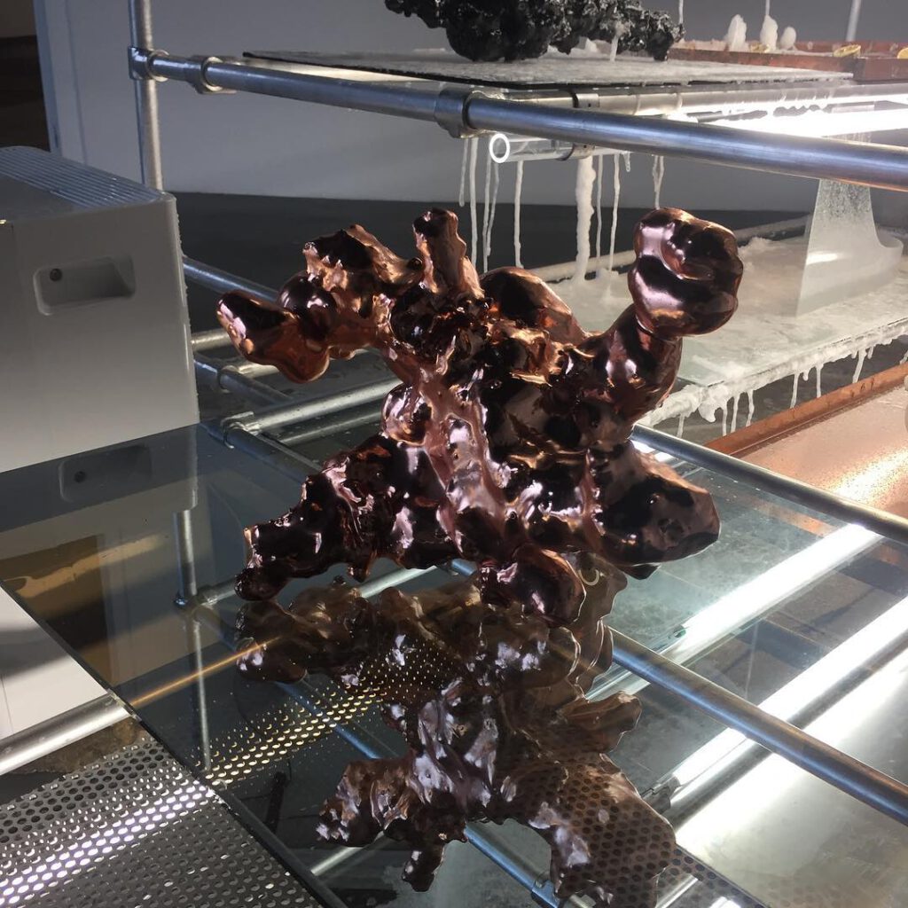 Beautiful work of my fiend Will Lamson at the Knoc… - Antoine Vigne