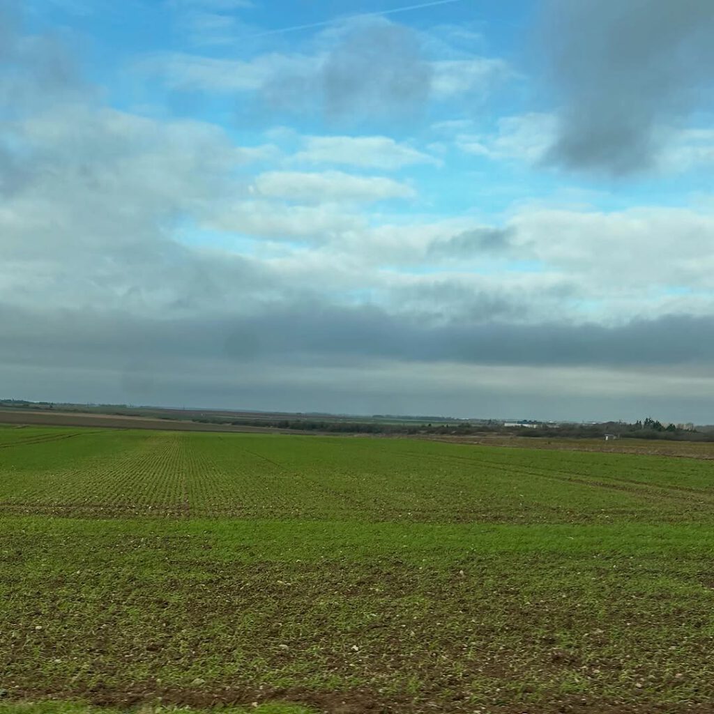 Des haies, les champs, la plaine, ma plaine. Trois… - Antoine Vigne