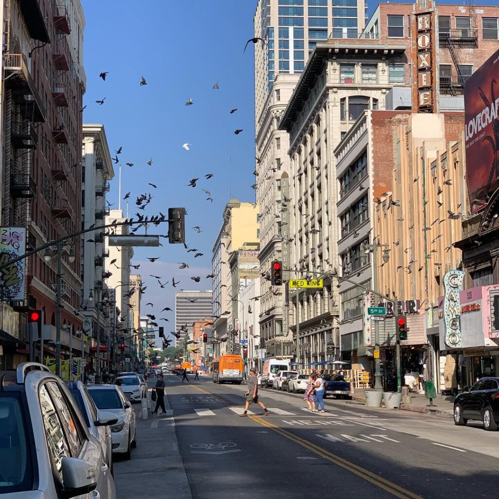 Trying to find LA… #losangeles #architecture #wa… - Antoine Vigne