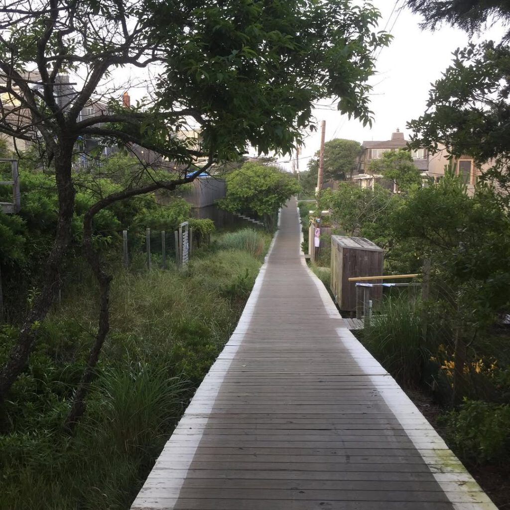 Well, hello old friend… #fireisland #fireislandp… - Antoine Vigne