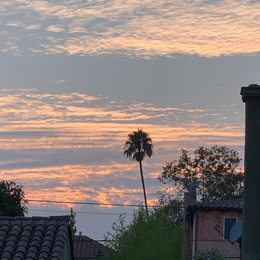 L.A. #californie #eveningwalk… - Antoine Vigne