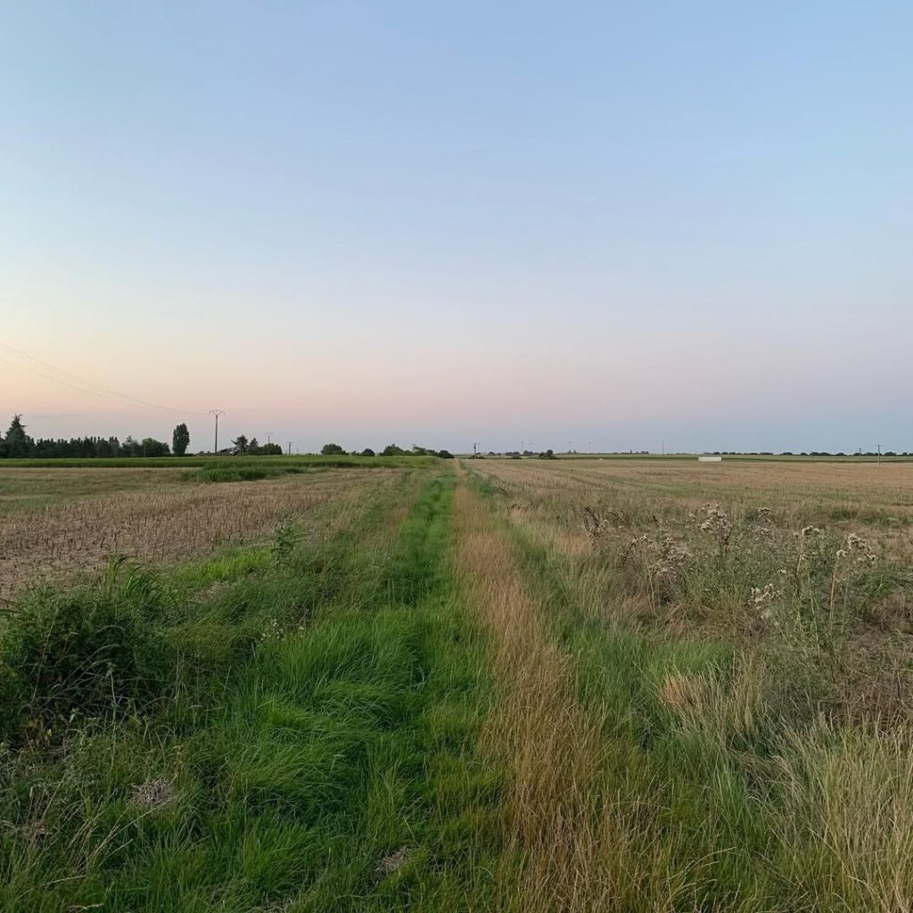 Promenade du soir, les conversations sur le credo,… - Antoine Vigne