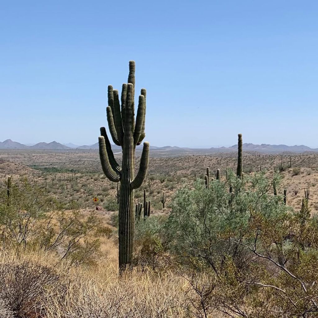 Sur la route près d’Arcosanti, avant d’arrive… - Antoine Vigne