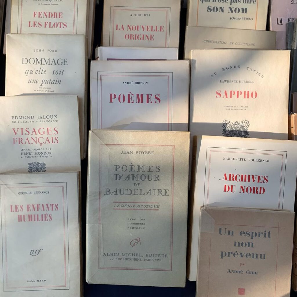 Fureter, chercher, se perdre, aimer les livres imp… - Antoine Vigne