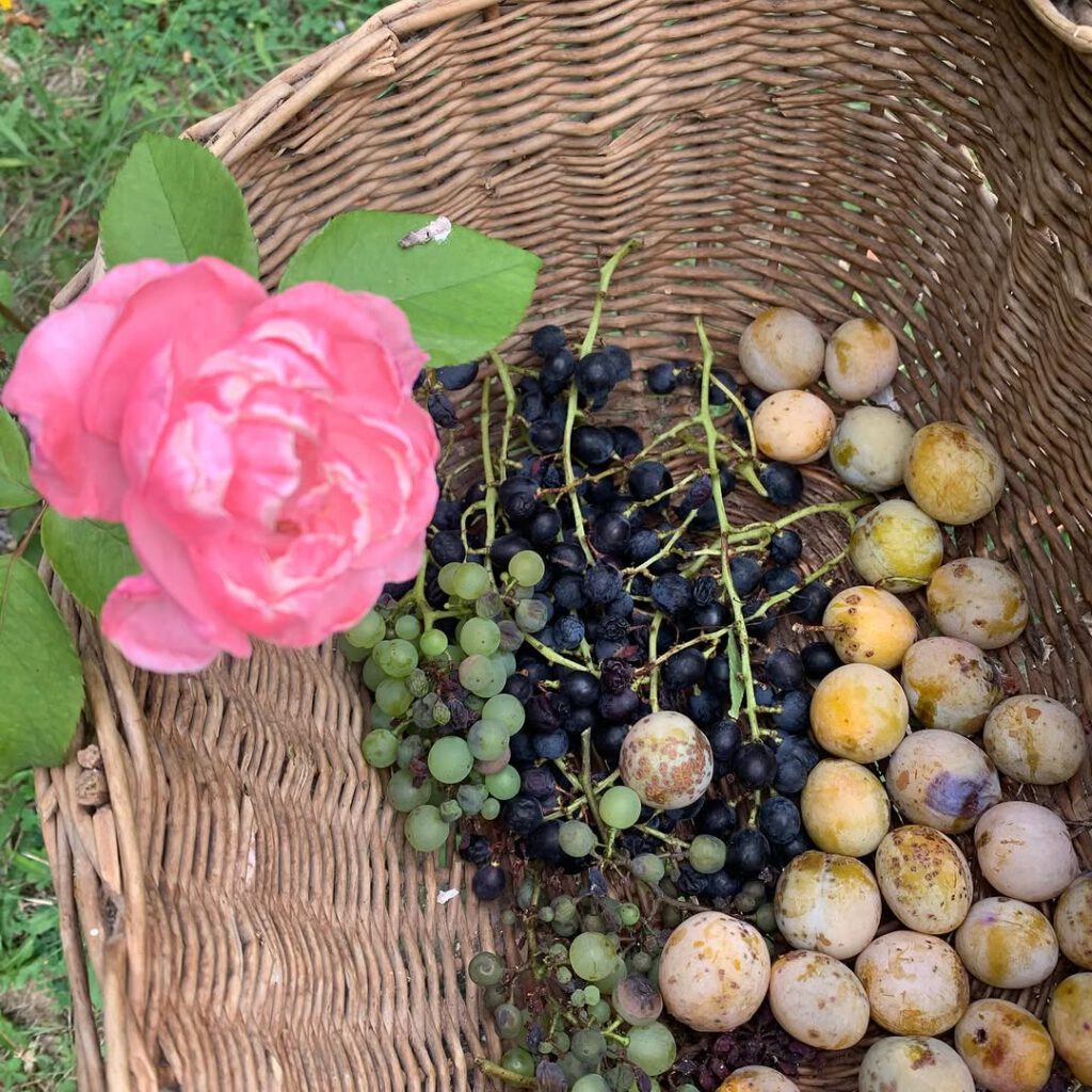 #home #septembre… - Antoine Vigne