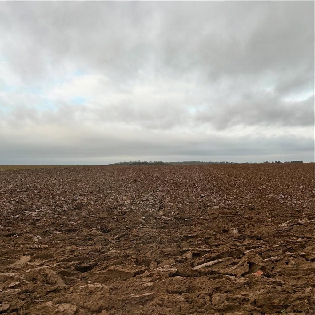 Des haies, les champs, la plaine, ma plaine. Trois… - Antoine Vigne