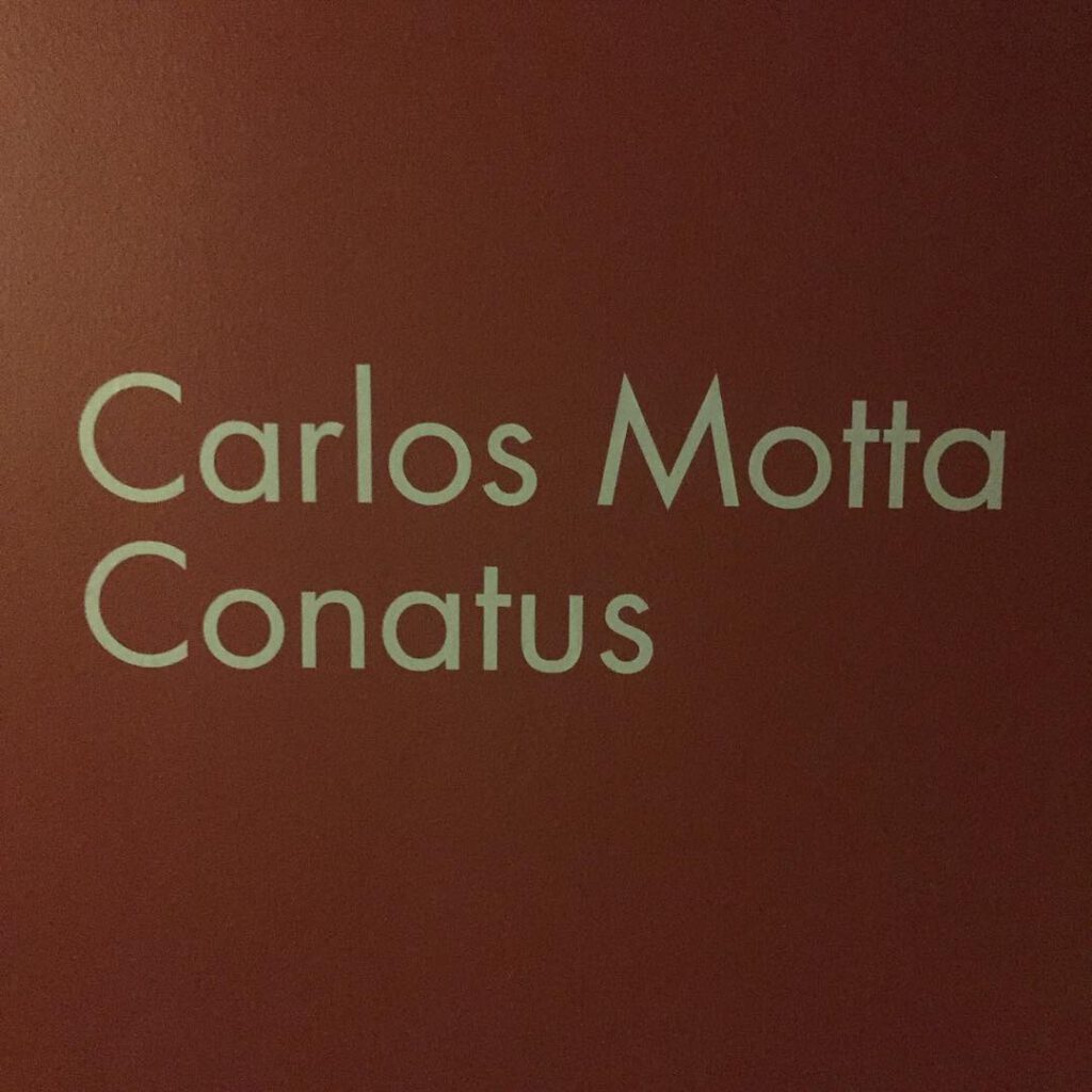 Beautiful exhibition by our friend Carlos Motta at… - Antoine Vigne