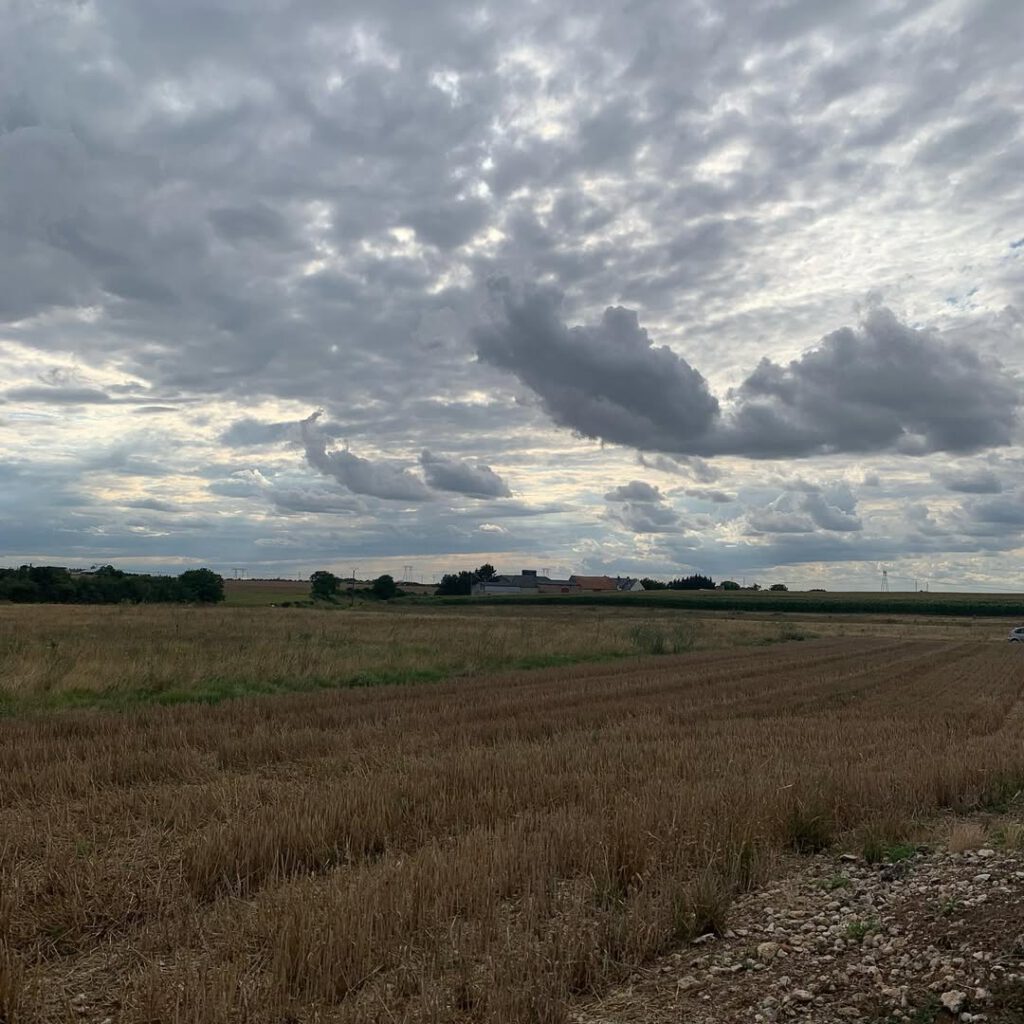 Un dolmen dans les champs de Tavers, la lumière q… - Antoine Vigne