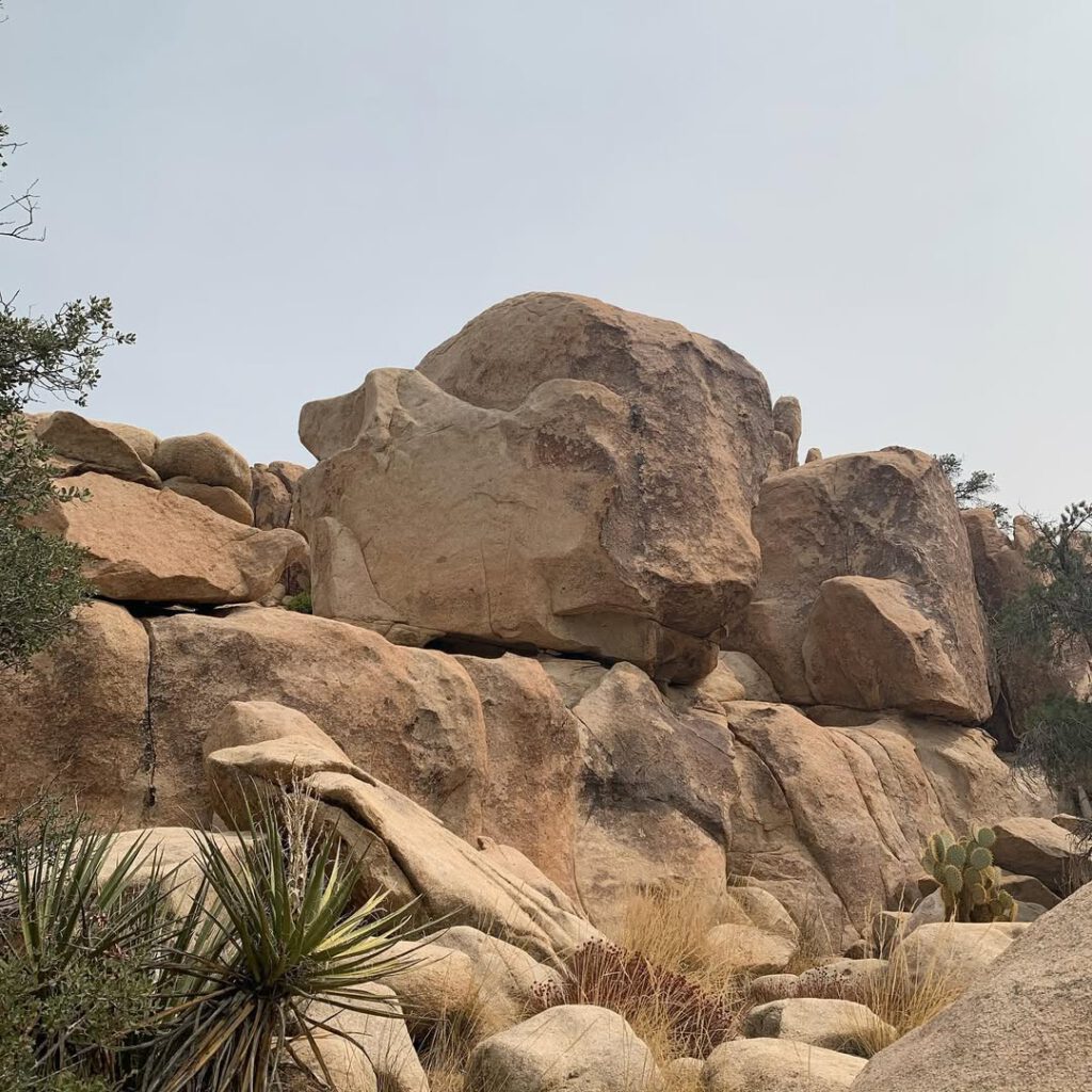 Joshua Tree, en Californie. Le haut désert, le s… - Antoine Vigne