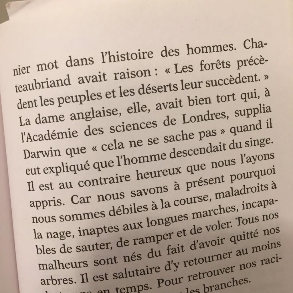 Je lis Sylvain Tesson dans l’avion qui me ramèn… - Antoine Vigne