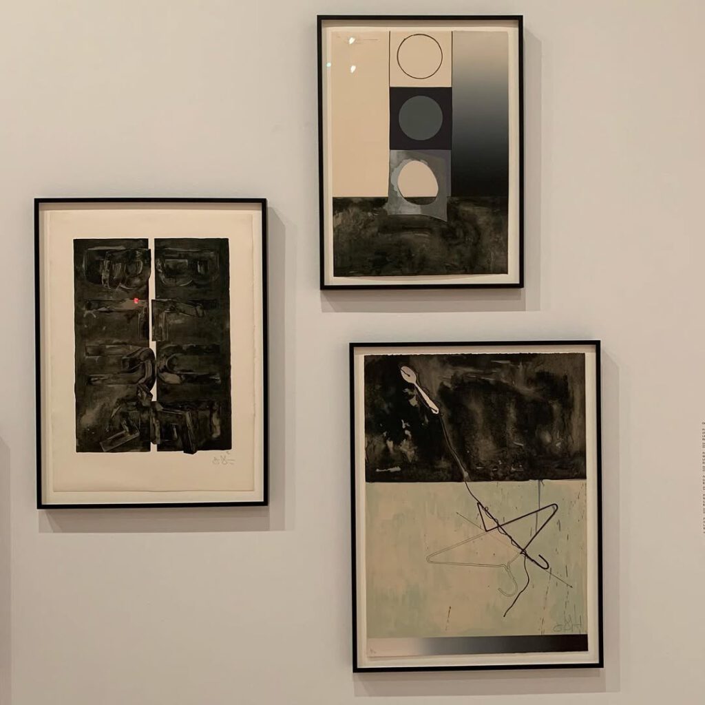 Jasper Johns au Whitney, quelques jours avant la f… - Antoine Vigne