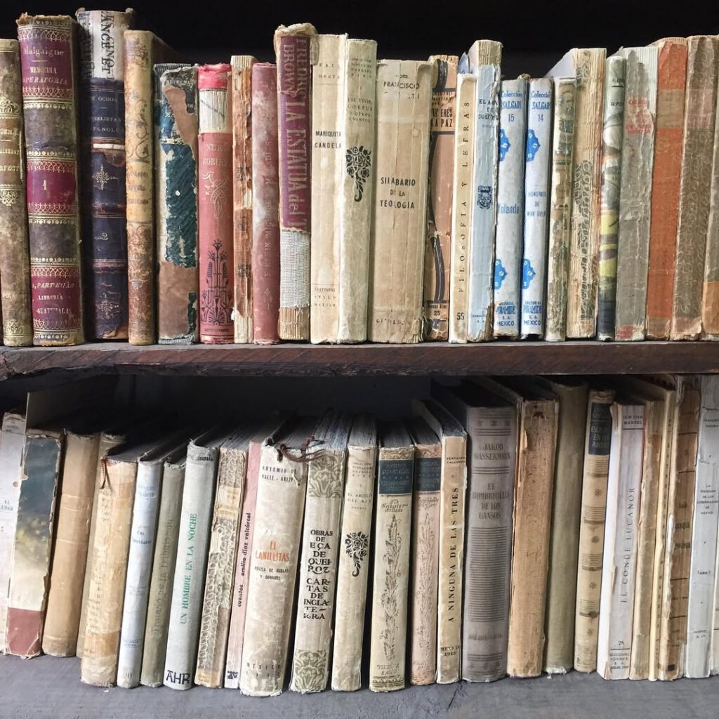 Les librairies de Mexico sur la Calle Alvaro Obreg… - Antoine Vigne