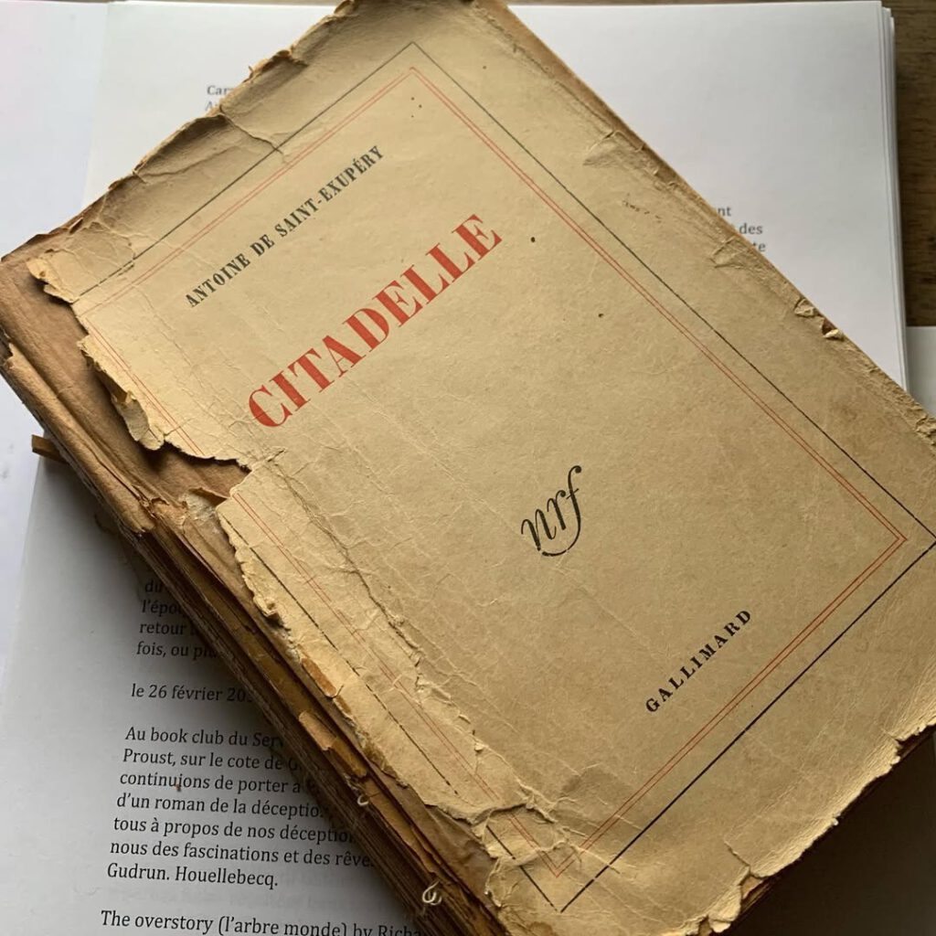 Les pages d’Artaud qui se détachent, mauvaise r… - Antoine Vigne