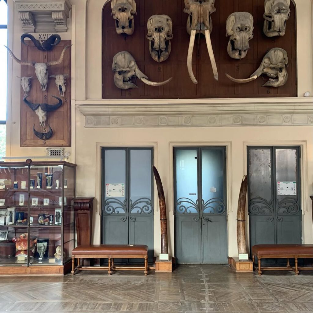 Certaines choses, certains musées, certaines vitr… - Antoine Vigne