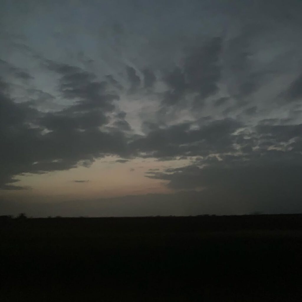 L’Oklahoma, la plaine, les champs, la lumière q… - Antoine Vigne