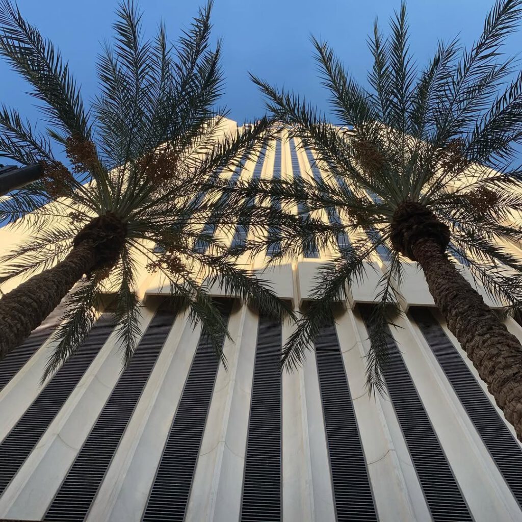 Phoenix, les jours qui passent et nous rapprochent… - Antoine Vigne