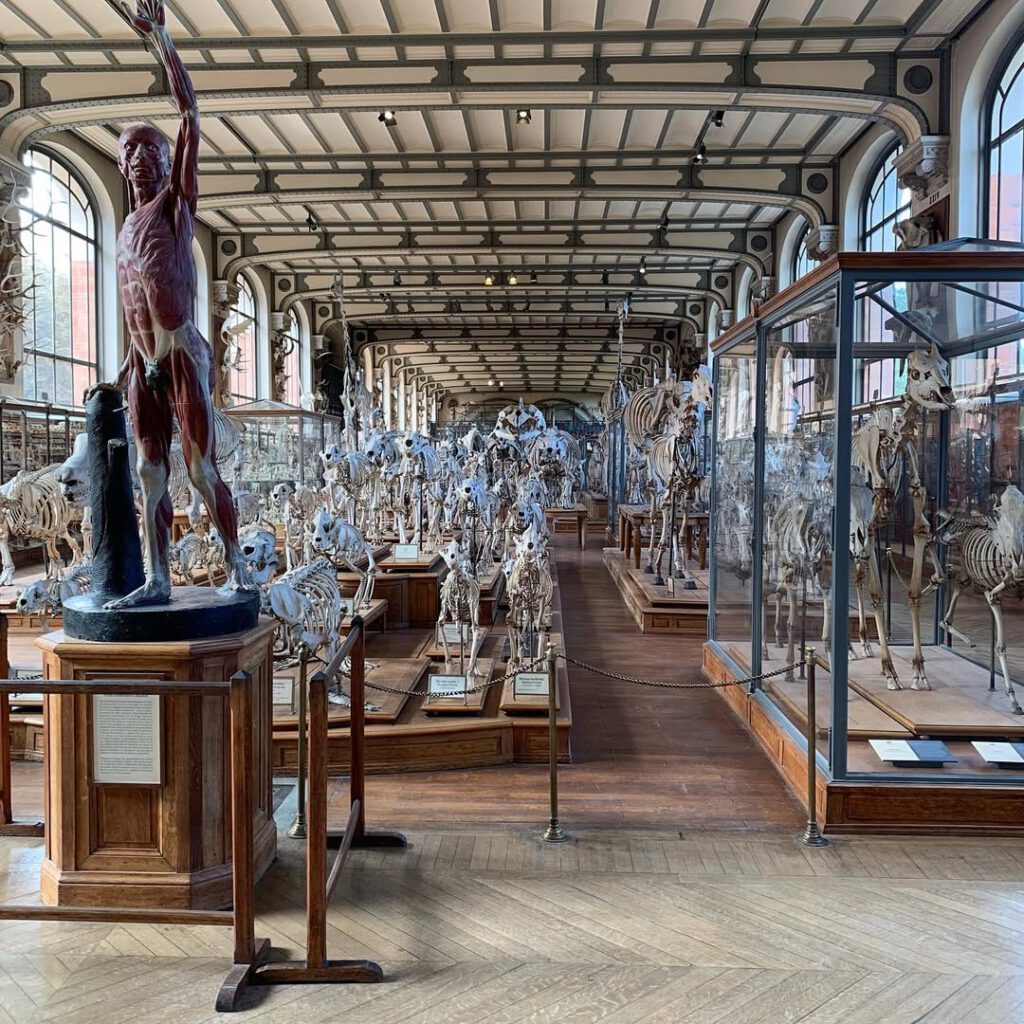 Certaines choses, certains musées, certaines vitr… - Antoine Vigne