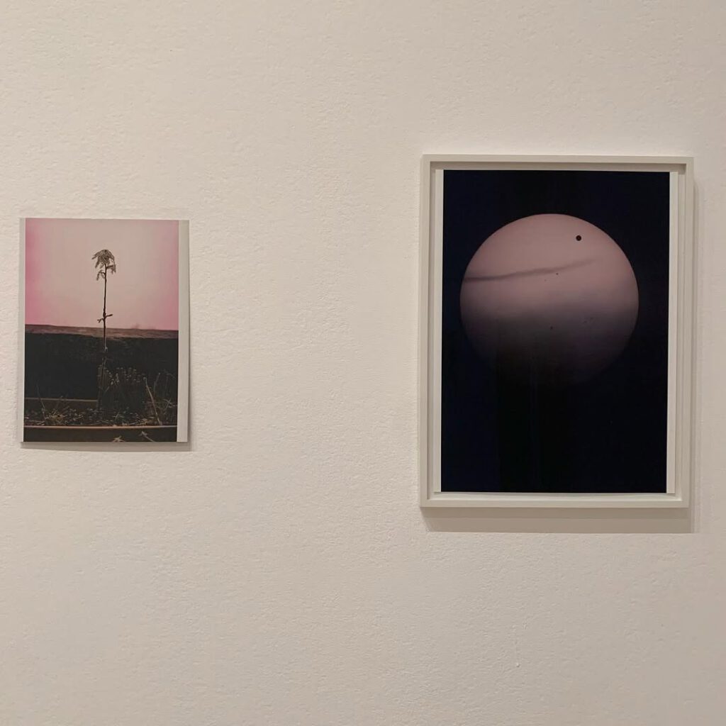Quelques notes lors de l’exposition Wolfgang Til… - Antoine Vigne