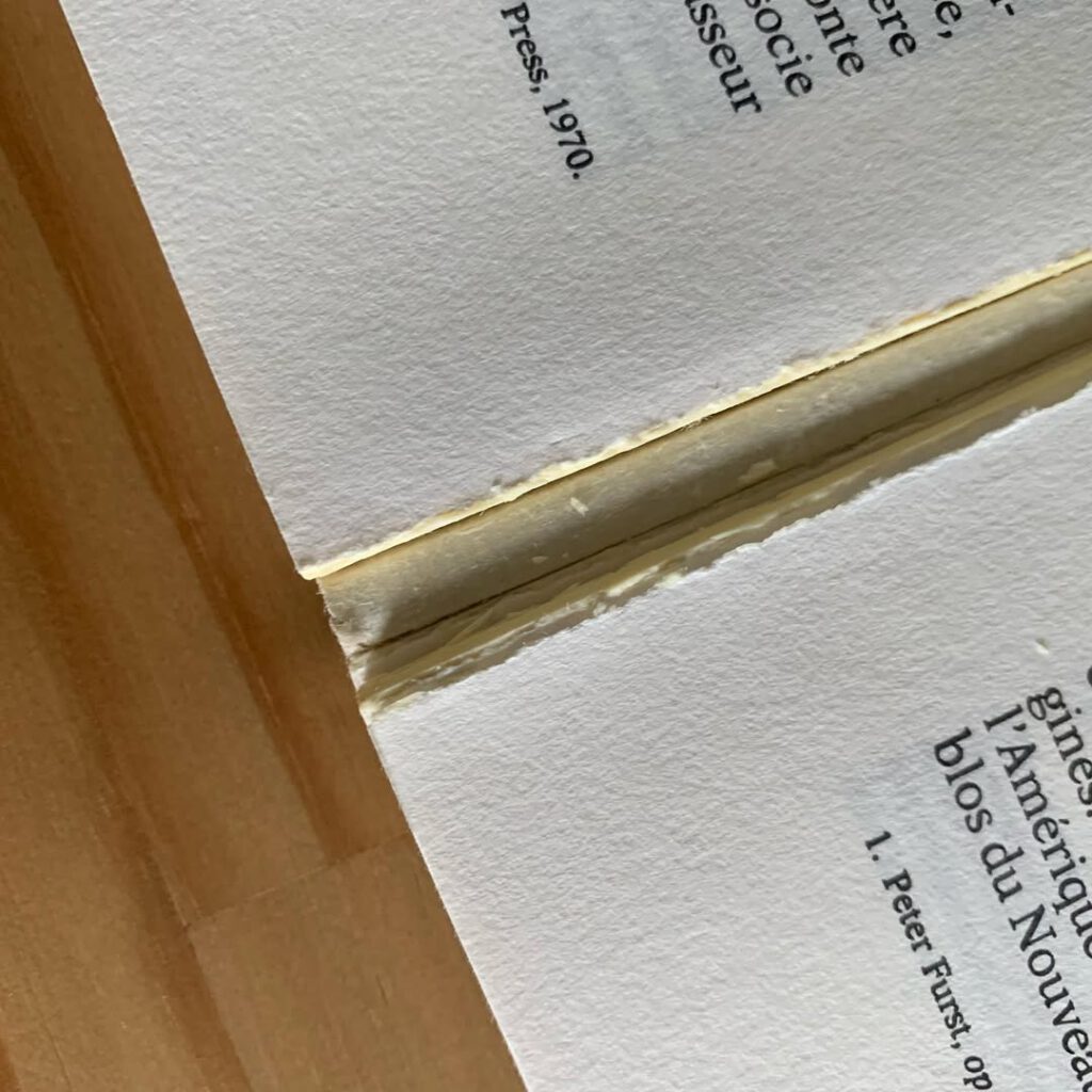 Les pages d’Artaud qui se détachent, mauvaise r… - Antoine Vigne