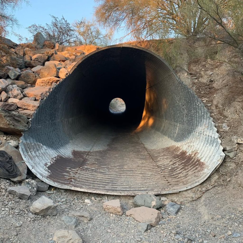 Phoenix, les jours qui passent et nous rapprochent… - Antoine Vigne