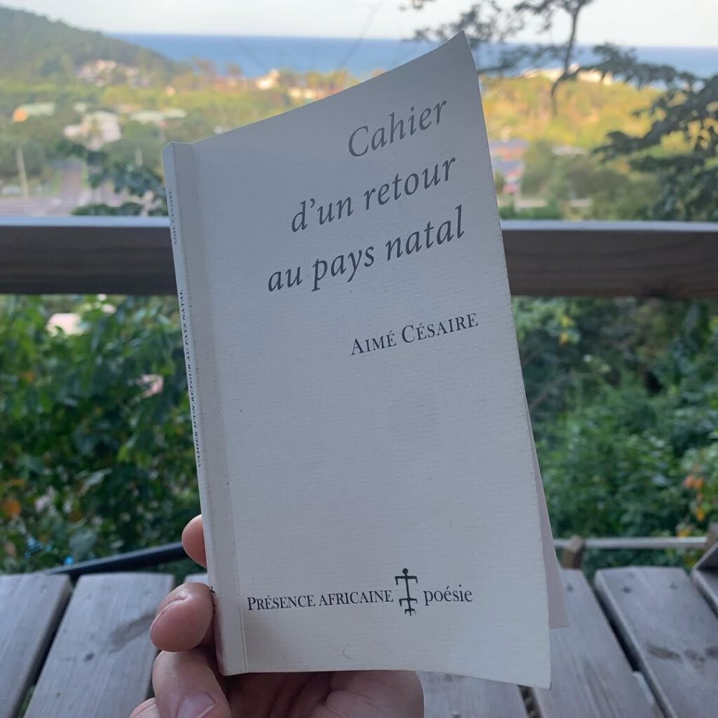 Un jour. Descendre la côte jusqu’à Basse-Terre… - Antoine Vigne