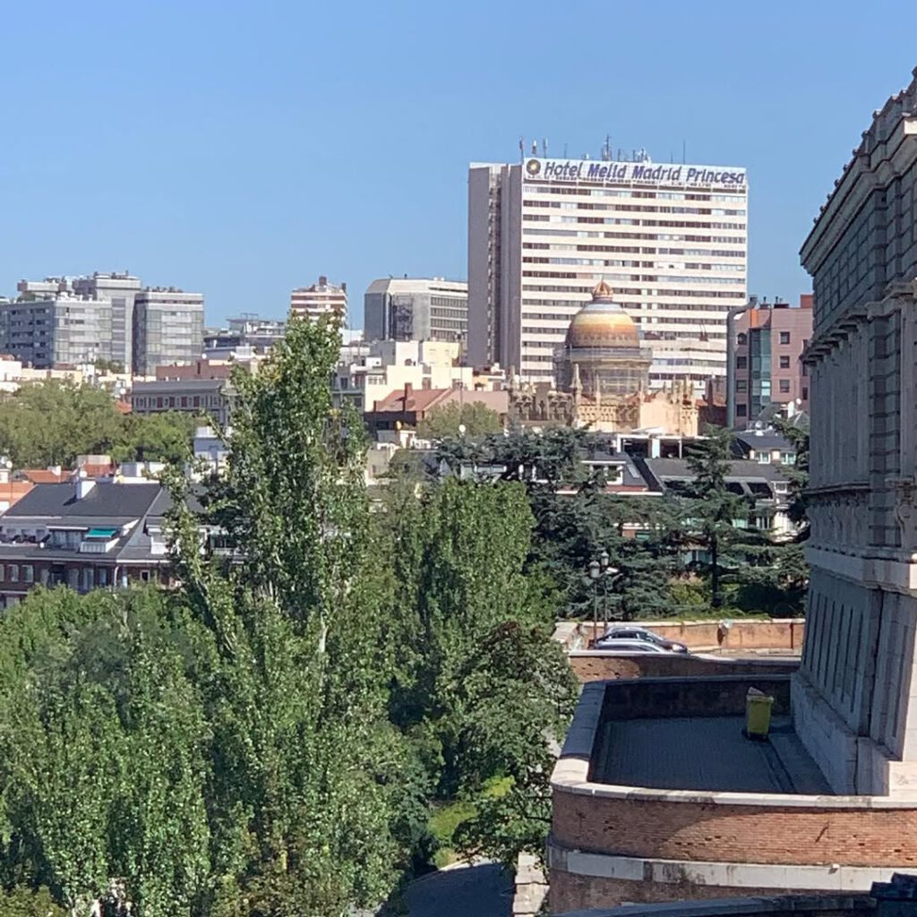 Madrid encore, la pie dans le Parque de Retiro qui… - Antoine Vigne