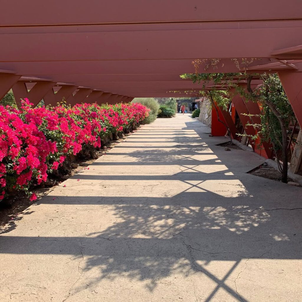 Taliesin West, le point de retraite et de culminat… - Antoine Vigne