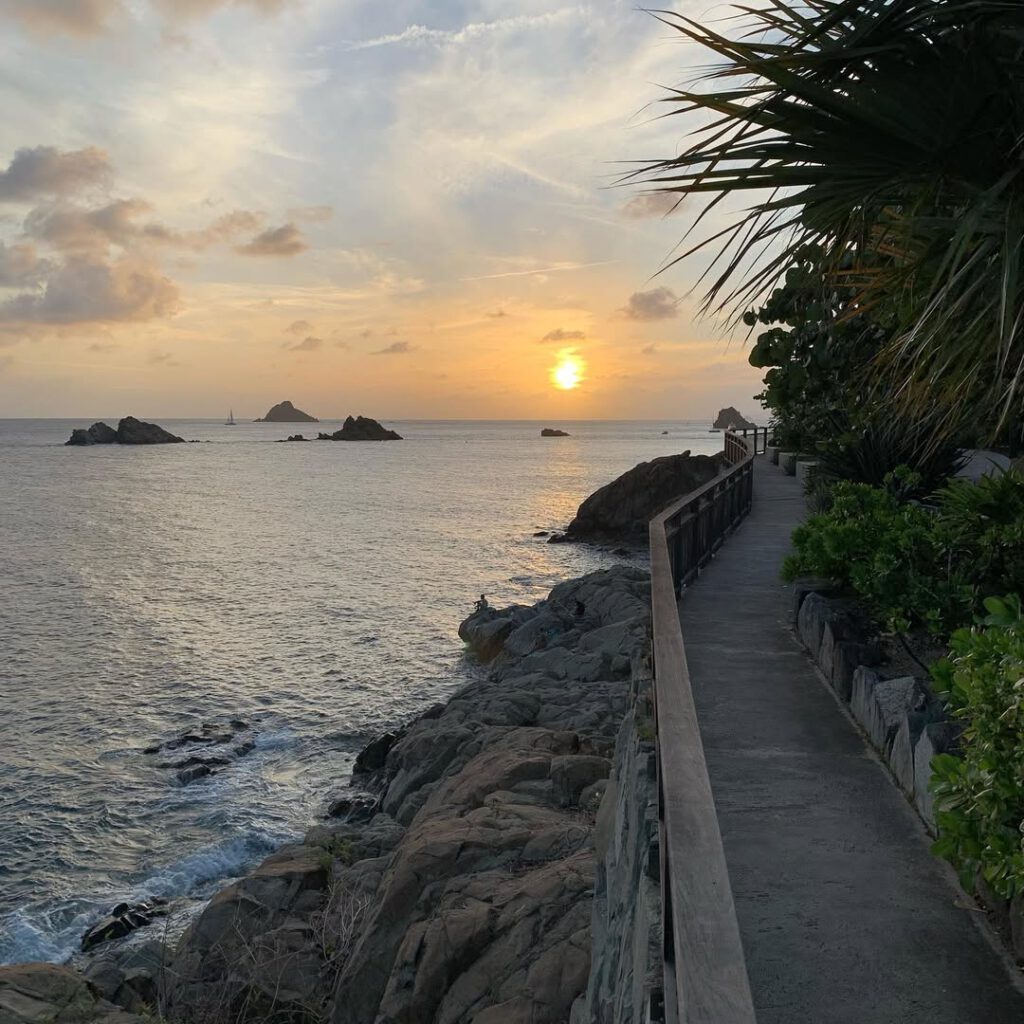 Une île étrange, l’aridité du sol, la végét… - Antoine Vigne