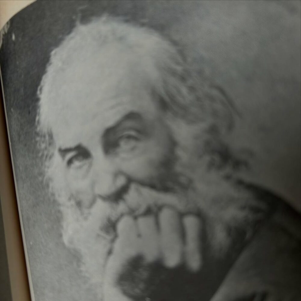 Walt Whitman. Il a 50 ans sur cette photo. Étrange… - Antoine Vigne