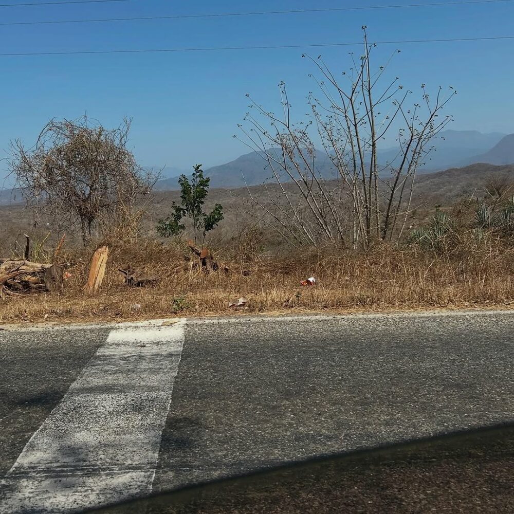 #oaxaca… - Antoine Vigne