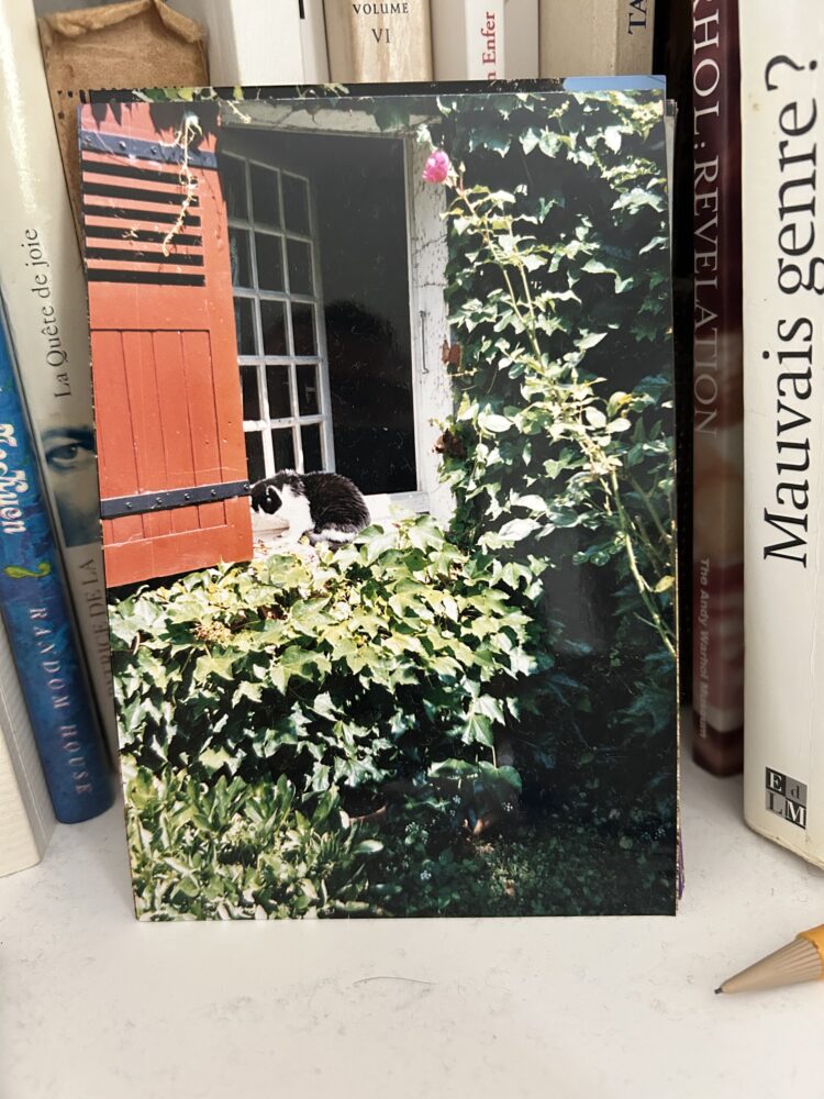 Along time ago… and now… - Antoine Vigne