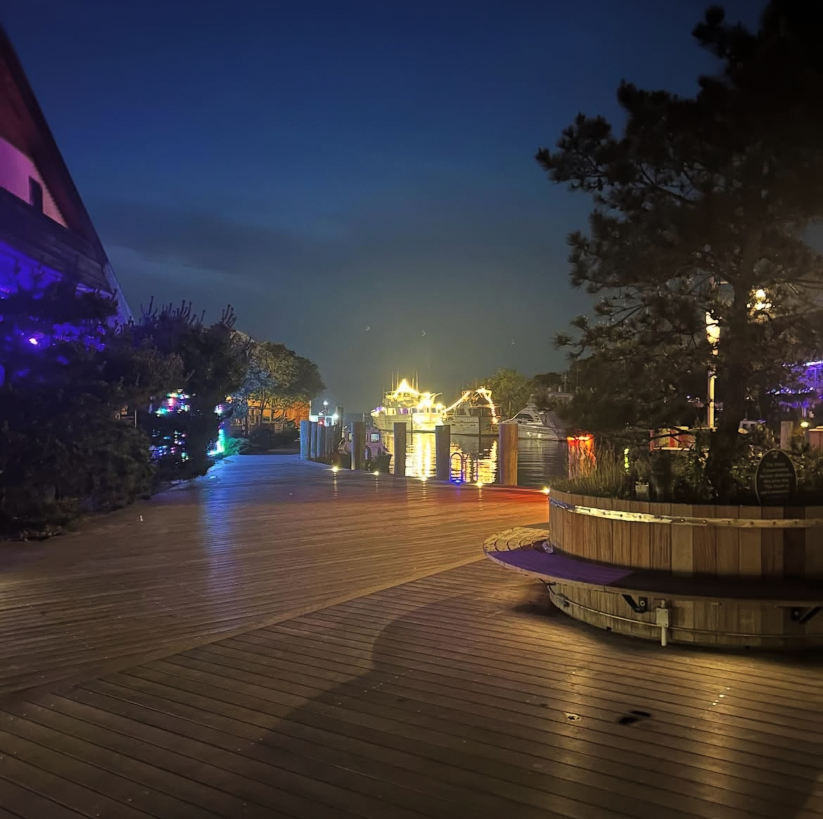 Des nuits à Fire Island - Antoine Vigne